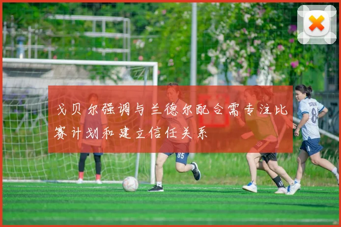 戈贝尔强调与兰德尔配合需专注比赛计划和建立信任关系