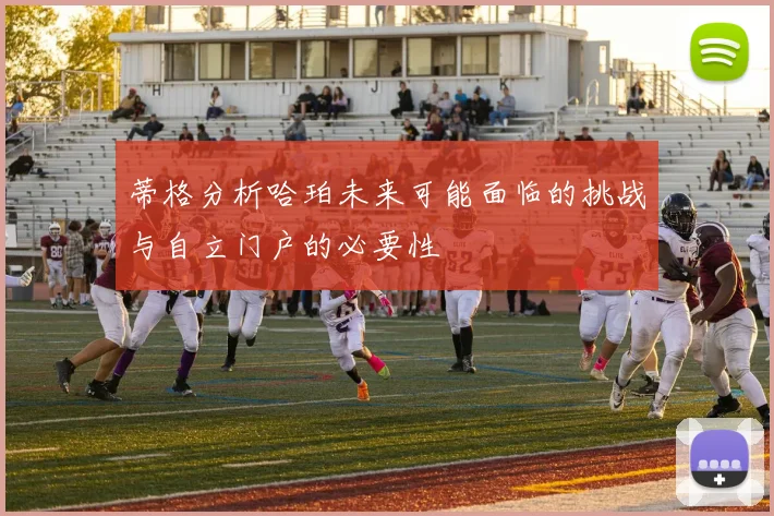蒂格分析哈珀未来可能面临的挑战与自立门户的必要性