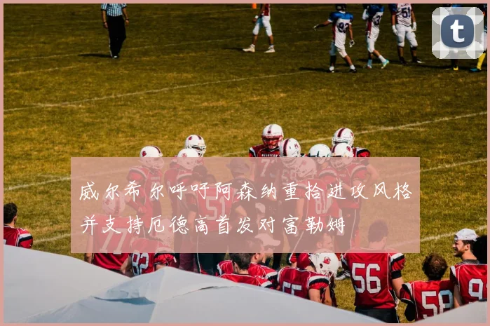 威尔希尔呼吁阿森纳重拾进攻风格并支持厄德高首发对富勒姆